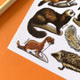 Medium Mammals Of Britain Watercolour Postcard, thumbnail 8 of 11