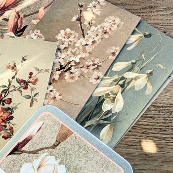 Nostalgic Floral Botanical Postcards In A Tin | 20 Pcs, 10 of 12