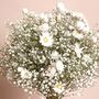 Dorothy Dried Flower Bridal Wedding Bouquet, thumbnail 2 of 6