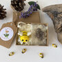 Personalised Mother's Day Bumblebee And Seeds In A Gift Box, thumbnail 3 of 5