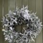Frosted Olive Wreath, thumbnail 1 of 2
