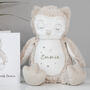 Personalised Baby Owl Soft Toy, thumbnail 1 of 4