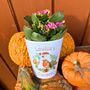 Personalised Autumn / Christmas Garden Plant Pot, thumbnail 3 of 5