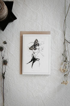 Colour Butterfly Greeting Cards – Set Of Four Vintage A6 Designs, 3 of 11