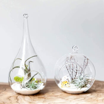 Pack Of Two Terrarium Hanging Air Plant Pot, 3 of 4