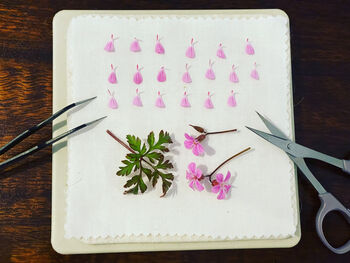 Ring With Real Flowers In Marie Antoinette Style, 10 of 10