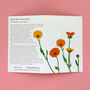 Welsh Pot Marigold Illustrated Card With Seeds, thumbnail 2 of 6