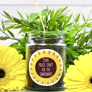 Personalised 'Don't Kill Me' Sunflower Jar Grow Kit, 3 of 12