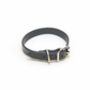 Dog Collar Leather, thumbnail 1 of 9