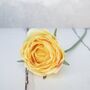 Luxury Lemon Rose Bouquet With Glass Vase, thumbnail 4 of 7