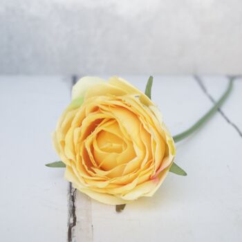 Luxury Lemon Rose Bouquet With Glass Vase, 4 of 7