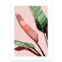 Pink And Green Banana Leaf Art Print, thumbnail 4 of 8