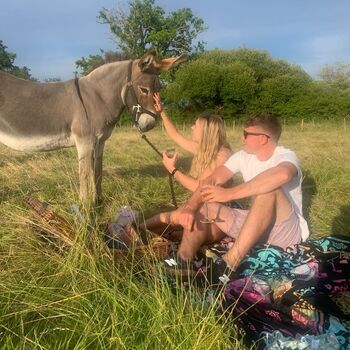 Meet The Donkeys Experience With Picnic For Two, 4 of 9