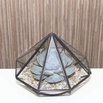 Large Diamond Glass Succulent Terrarium, 7 of 8