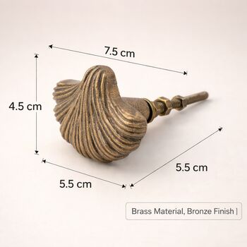 Nautical Brass Seashell Knob, 6 of 8