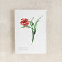 Tulip Floral Watercolour Greetings Card, thumbnail 2 of 2