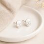 Sterling Silver Skull Stud Earrings – 8mm, thumbnail 2 of 5