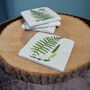 Fern Coasters Set Of Four Table Protectors Plant Lover, thumbnail 2 of 6