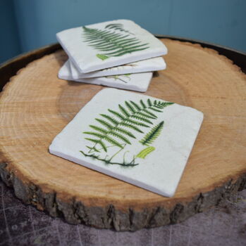 Fern Coasters Set Of Four Table Protectors Plant Lover, 2 of 6