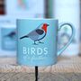RSPB Ceramic Boxed Mug Robin Birds, thumbnail 1 of 2
