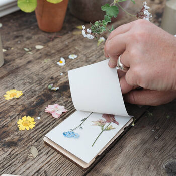 Pocket Flower Press, 6 of 7