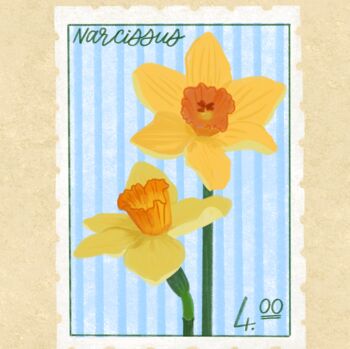Narcissus | Daffodil Floral Stamp Print, 3 of 5