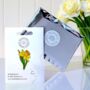Daffodil Spring Flower Hard Enamel Pin Brooch, thumbnail 2 of 9