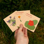 Personalised Seed Kit: Grow Your Own Edible Flowers, thumbnail 8 of 12