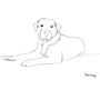 Personalised Pet Portrait In Mount, thumbnail 5 of 6