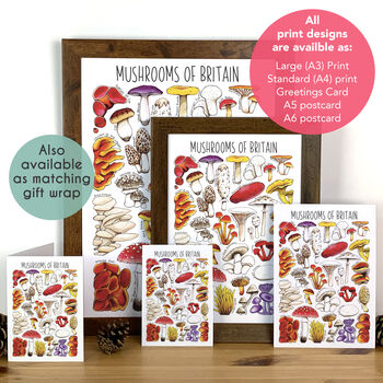 Mushrooms Of Britain Wrapping Paper Set, 9 of 9