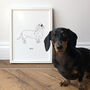 Personalised Pet Portrait Print Line Art, Unframed, thumbnail 2 of 8