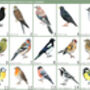 Personalised Family Of British Birds Print, thumbnail 3 of 8