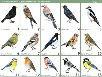 Personalised Family Of British Birds Print, 3 of 8
