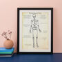 Personalised Skeleton Anatomy Print, thumbnail 1 of 6