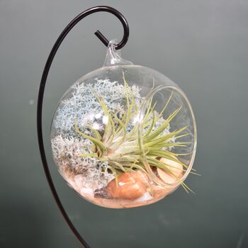 Diy Air Plant Terrarium Kit Hanging Terrarium Gift Light Blue, 8 of 9