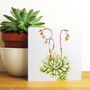 Mixed Botanical Greetings Card Pack Three, thumbnail 6 of 7