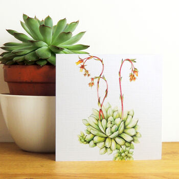 Mixed Botanical Greetings Card Pack Three, 6 of 7