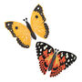 Create Your Own Fluttering Butterflies, thumbnail 2 of 4