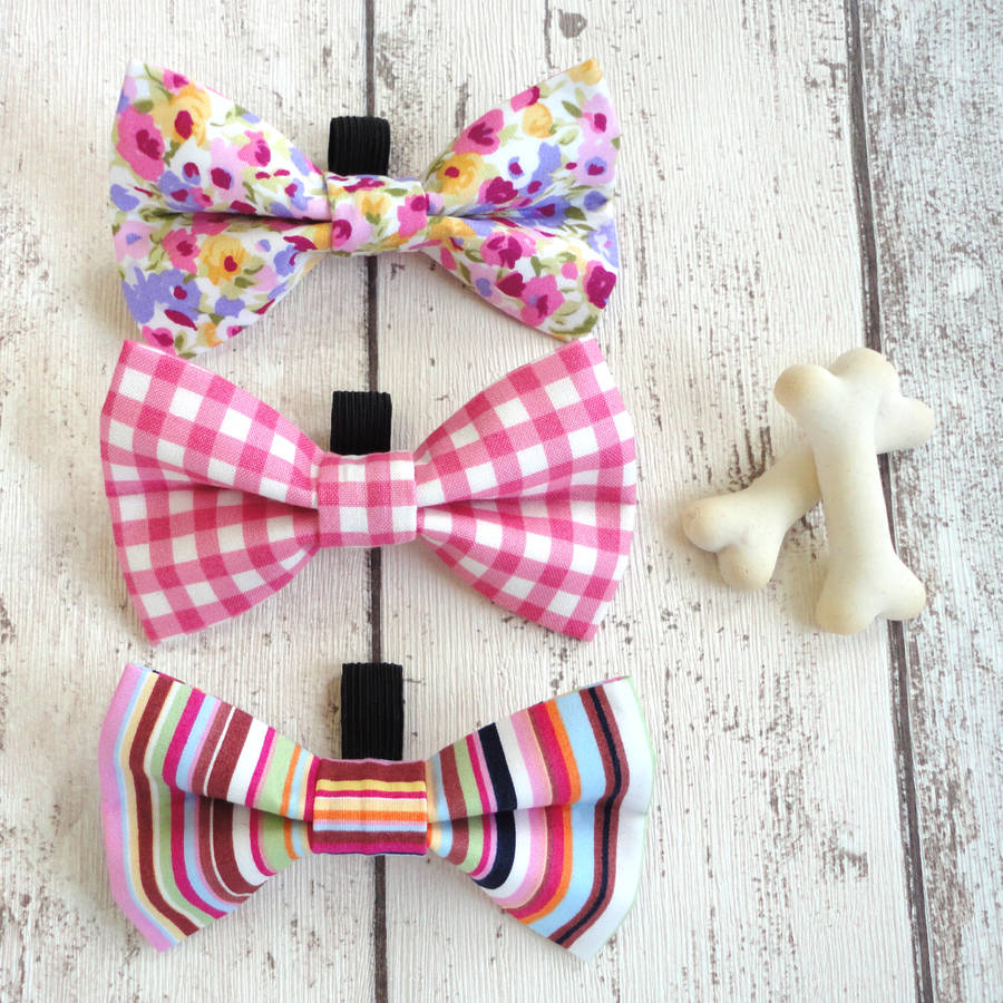 slide on pet dog bow tie by ditsy pet | notonthehighstreet.com