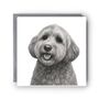 Adorable Cockerpoo Dog Greeting Card, thumbnail 1 of 4