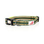 Comfort Collection Padded Dog Collar, thumbnail 10 of 11