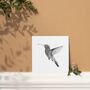 Adhara The Hummingbird Luxury Blank Greeting Card, thumbnail 3 of 4