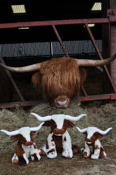 Texas Longhorn 23cm Soft Toy Cow + Personalised Heart, 11 of 11