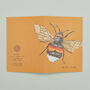 Set Of Four Greeting Cards Of British Insects, thumbnail 7 of 10