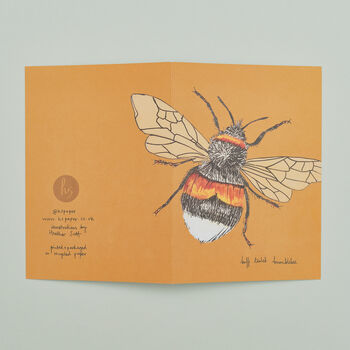 Set Of Four Greeting Cards Of British Insects, 7 of 9