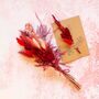 Red Rose Dried Flower Valentines Posy And Gift Card, thumbnail 1 of 4