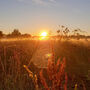 Sunset Paddleboarding Henley Experience For Two, thumbnail 4 of 7