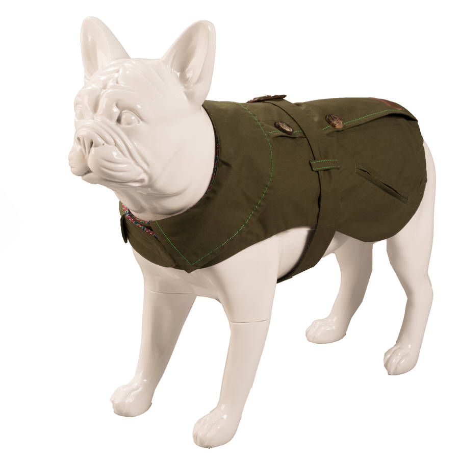 seth rankin dog trench coat by baker & bray | notonthehighstreet.com