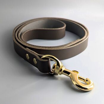 Personalised Leather Dog Lead, 8 of 12