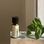 Peppermint Essential Oil, thumbnail 1 of 7
